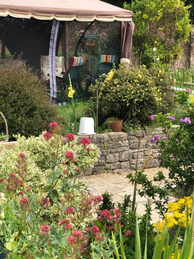Ponders End Bed and Breakfast Newport  Exteriör bild